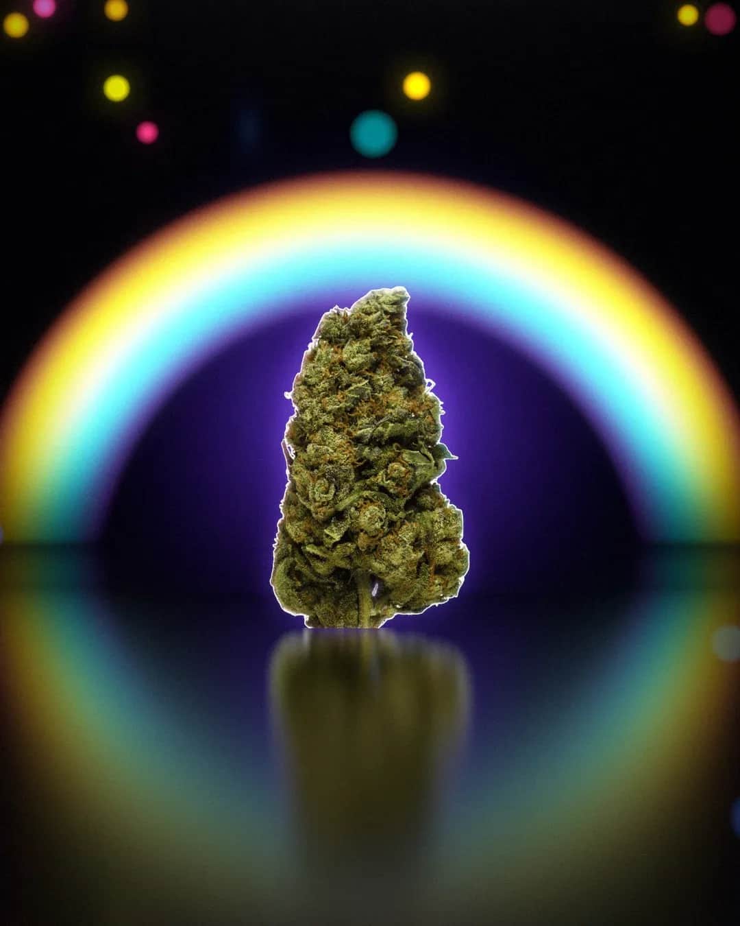 Alien Kush, rendu studio sous une arche arc-en-ciel