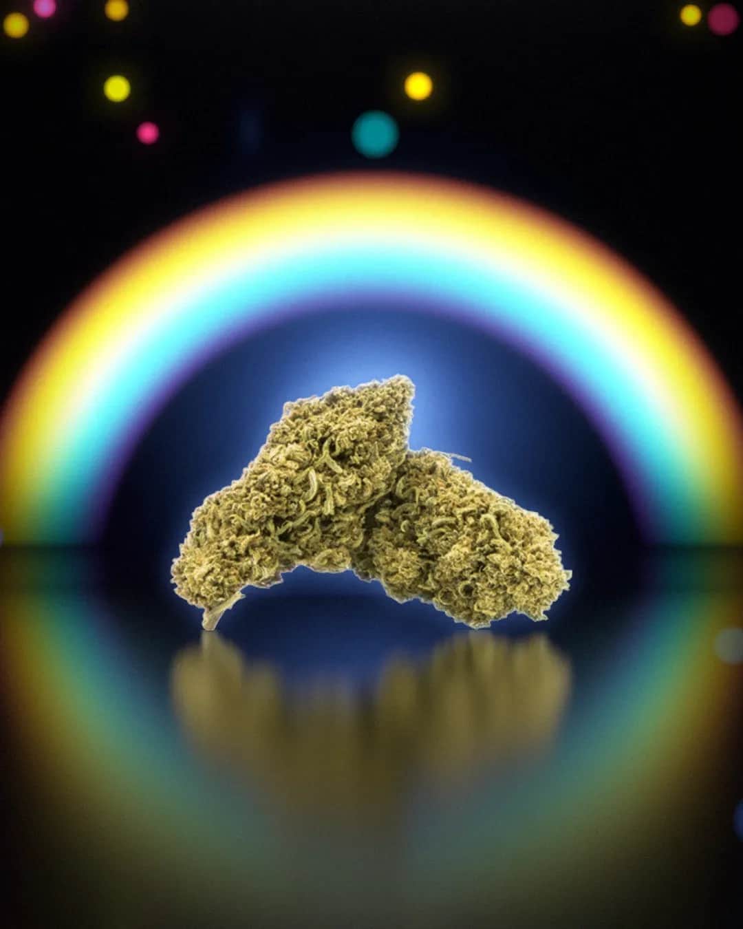 Gorilla Cheese, rendu studio sous une arche arc-en-ciel