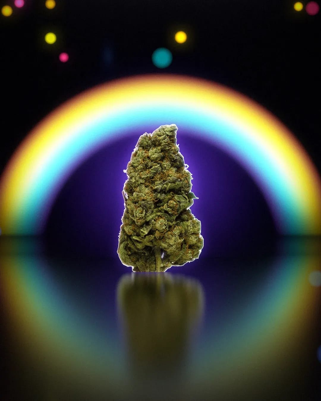 Alien Kush, rendu studio