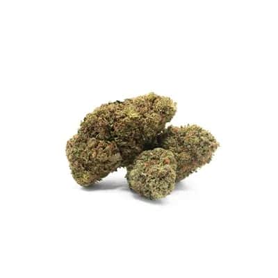 Royal OG, photo sur fond blanc