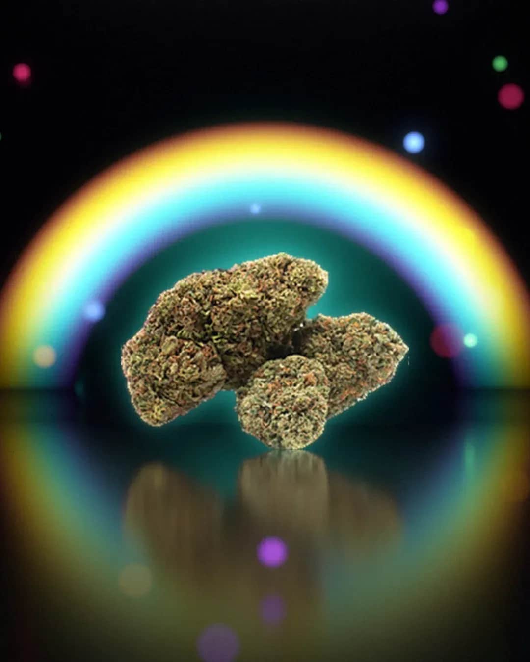 Royal OG, rendu studio sous une arche arc-en-ciel